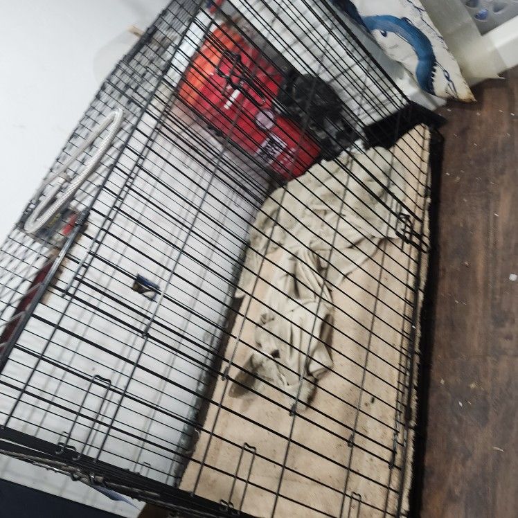 Large Dog Crate W/ Dog Bed, Blanket, And Water Bowl