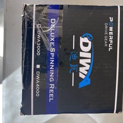 Diwa Spinning Reel