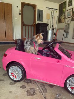 Toy Mercedes amg  s63, one owner,  (adorable dog for size reference only) new battery. Everything works great. Forward and reverse