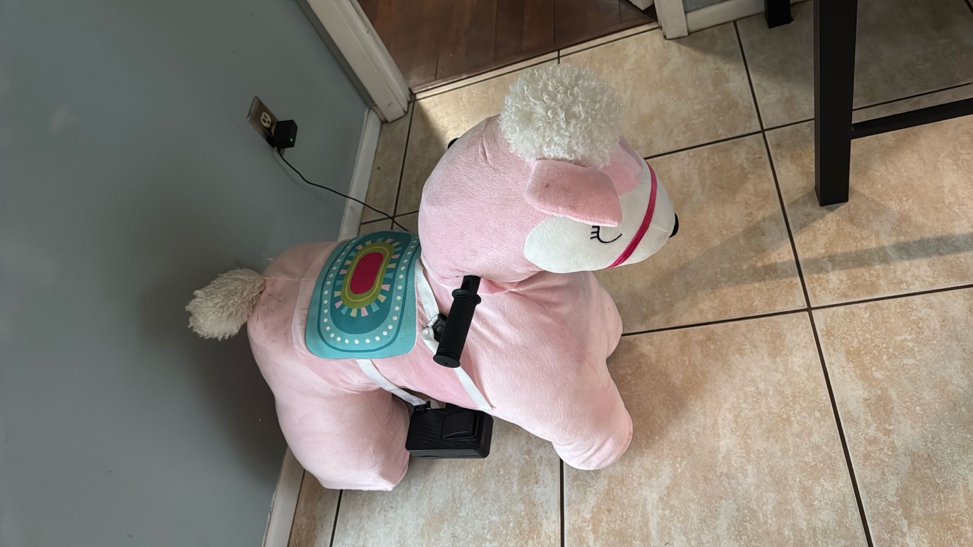 Riding Pony