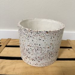 Lost in the Forrest Terrazzo Pot, 7.25" x 6"