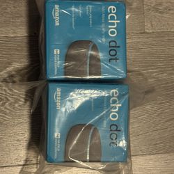 Echo Dot 