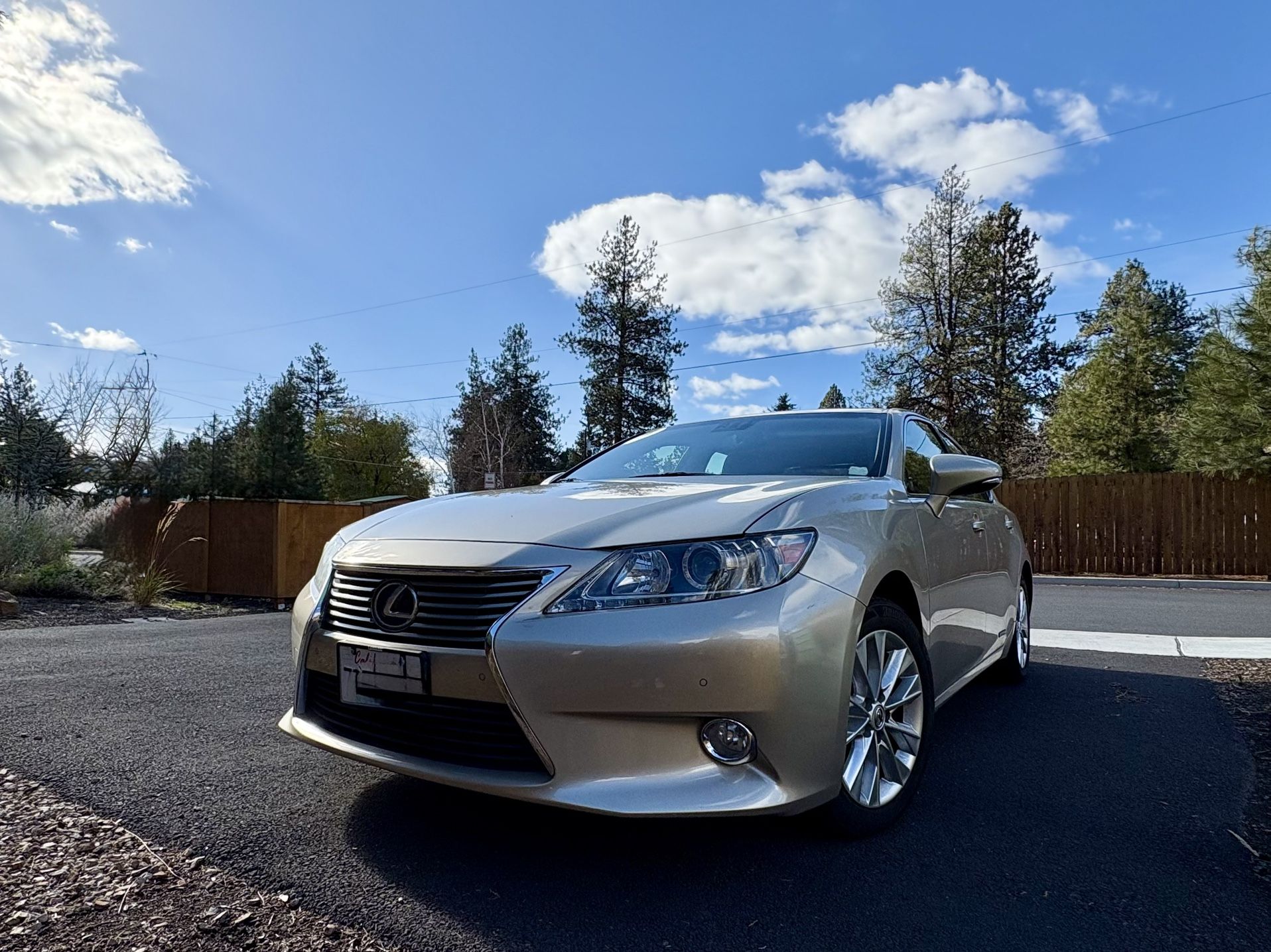 2013 Lexus ES 300h