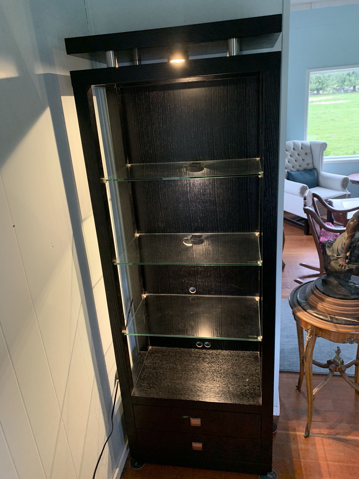 Modern Ebony Lighted Cabinet