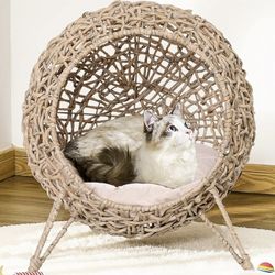 Cat House White Color