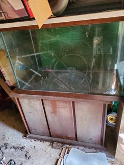 Reptile aquarium / fish aquarium 80 gallon