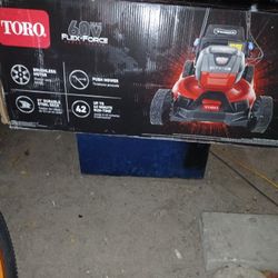 Toro Push Mower 60w 