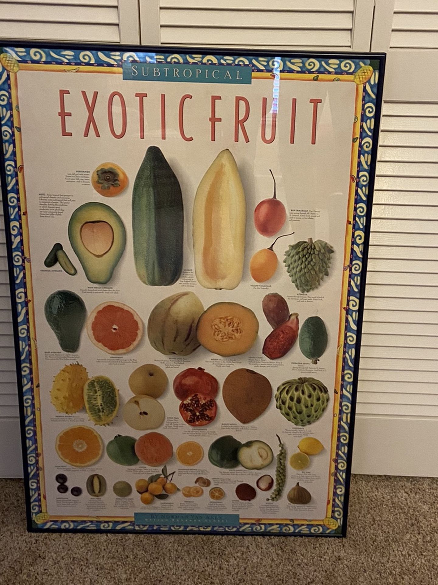 Exotic Fruit Art