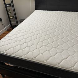 4 Queen Mattress 