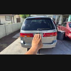Need Gone 