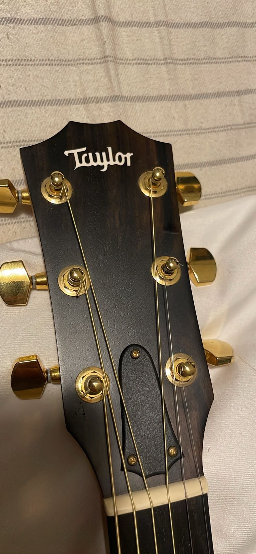 Taylor Acoustic/Electric