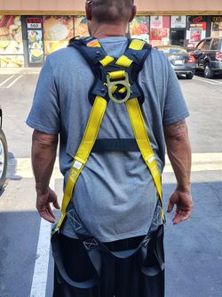 Harness
