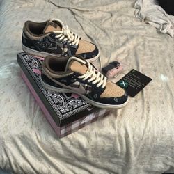 Travis Scott Sb Dunks Special Box