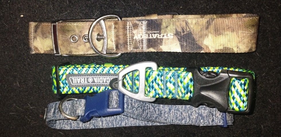 XXL Dog Collars