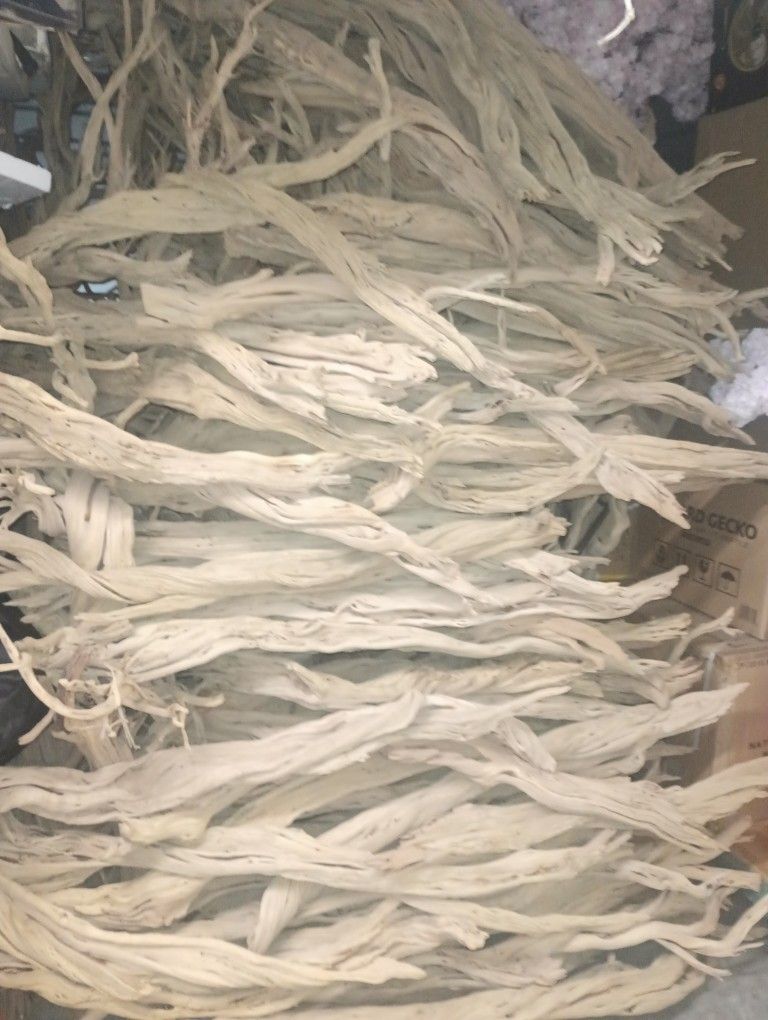 Pond Natural Real Driftwood