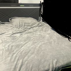 Queen Bed Frame With LEDs 