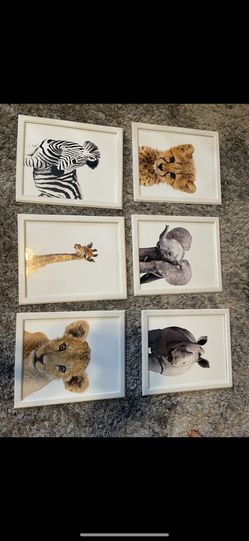Frames Animal Nursery Decor Baby