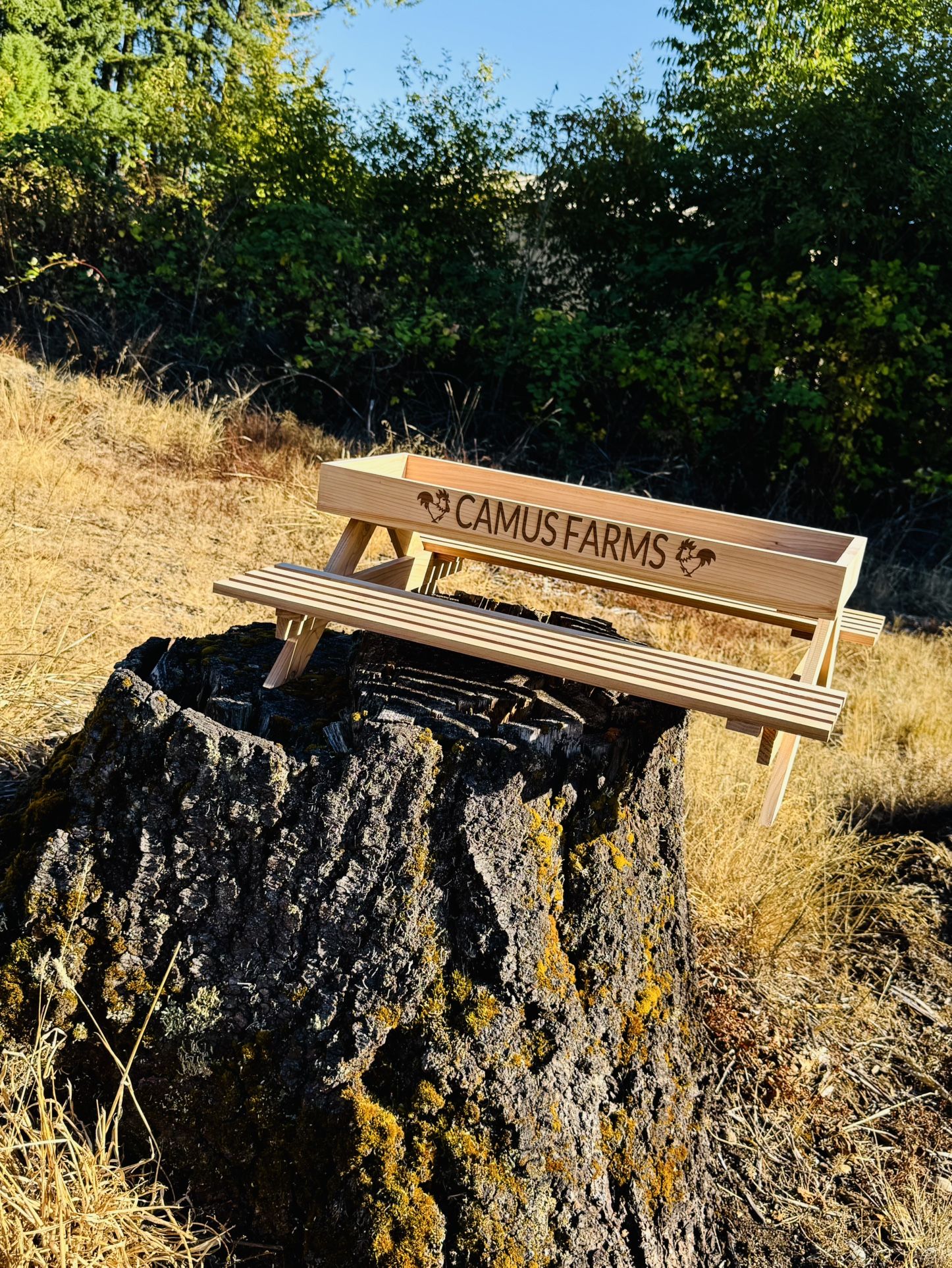 Handmade Custom Engraved Cedar Chicknic Tables
