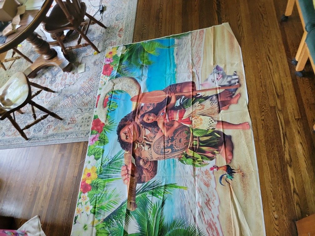 Maui and Moana Photo Background