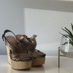 Bronze ALDO Wedges