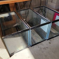 10 Gallon Aquarium (3 Available)