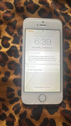 Apple iPhone 5s Silver