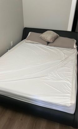 Casper Bed Mattress