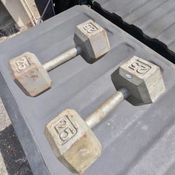 25 lbs. Dumbbells (Used)