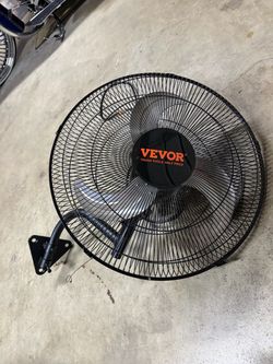 Fan