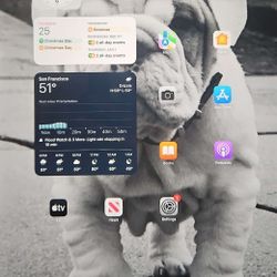 Ipad Pro 3rd Gen '11 128gb 