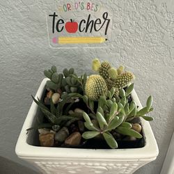 Teacher Appreciation Gift