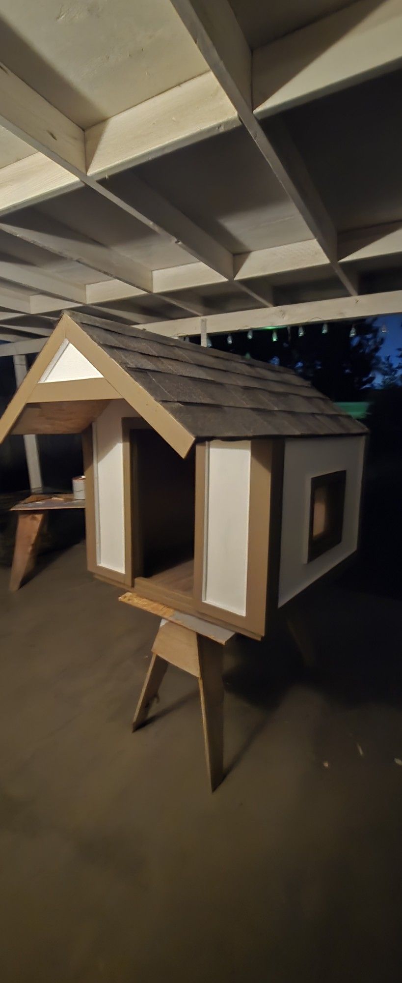 Large Dog House
