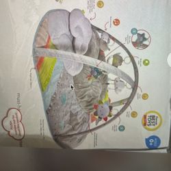 Skip Hop Activity Gym For Babies
