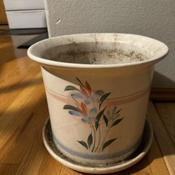 Flower Pot