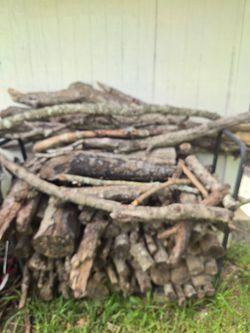 Free logs and branches