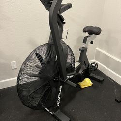 Rogue Echo Bike