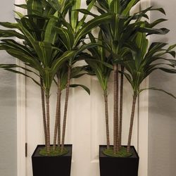 ASTIDY Artificial Dracaena Tree 5FT - Faux Tree With Black Tall Planter - Fake Tropical Yucca Floor Plant Potted - Artificial Silk Tree For Home Offic