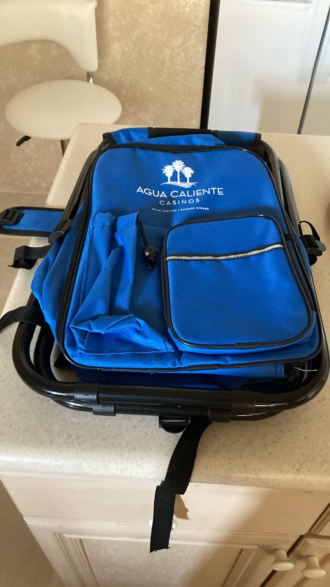 Folding Portable Cooler