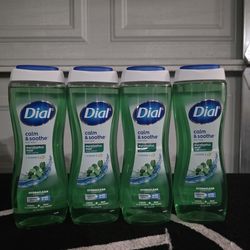 Dial Bodywash 21 Oz
