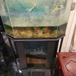 40 Gallon Hex Shape Tank With Stand And Storage