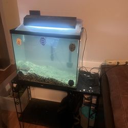 40 Gallon Fish Tank & Metal Stand 
