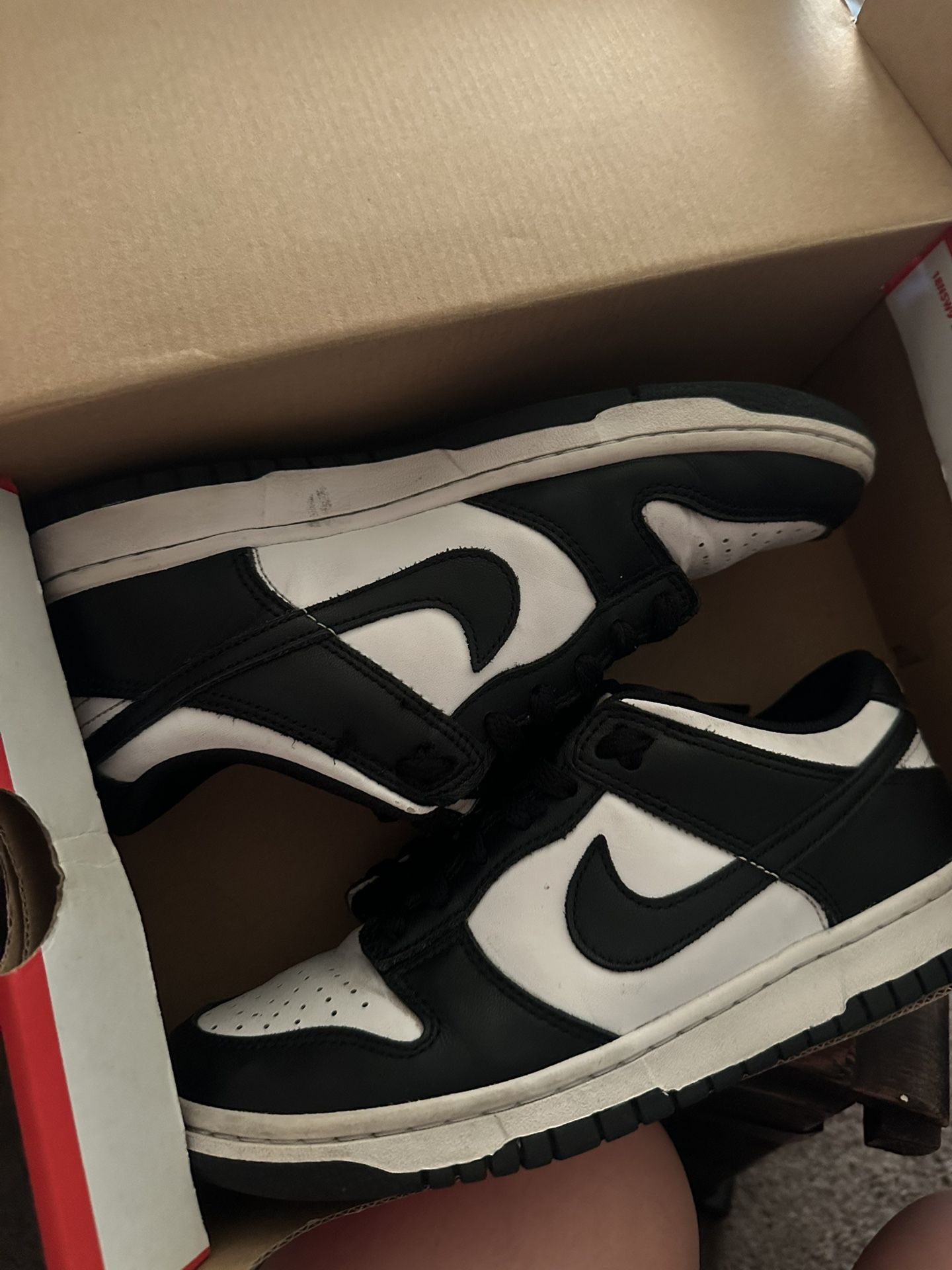 Panda Nike Dunk Youth 6