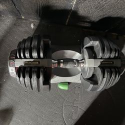 Bowflex Adjustable Dumbbell 