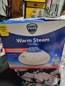 Warm steam vaporizer 10