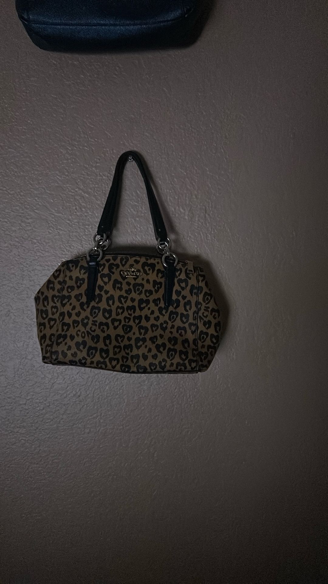 Coach Leopard Bag