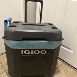 Igloo Cooler