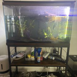 30 Gal fish tank