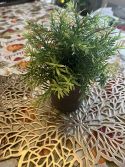 Plant