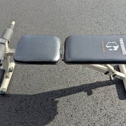 Set of Bicep Curling weights 15 lbs x 2 plus bench -