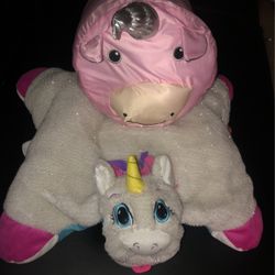 Sleeping Bag & Pillow